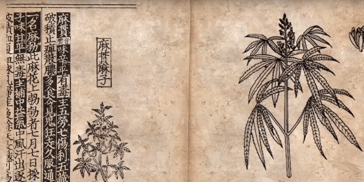 Ancient China: Cannabis as Medicine